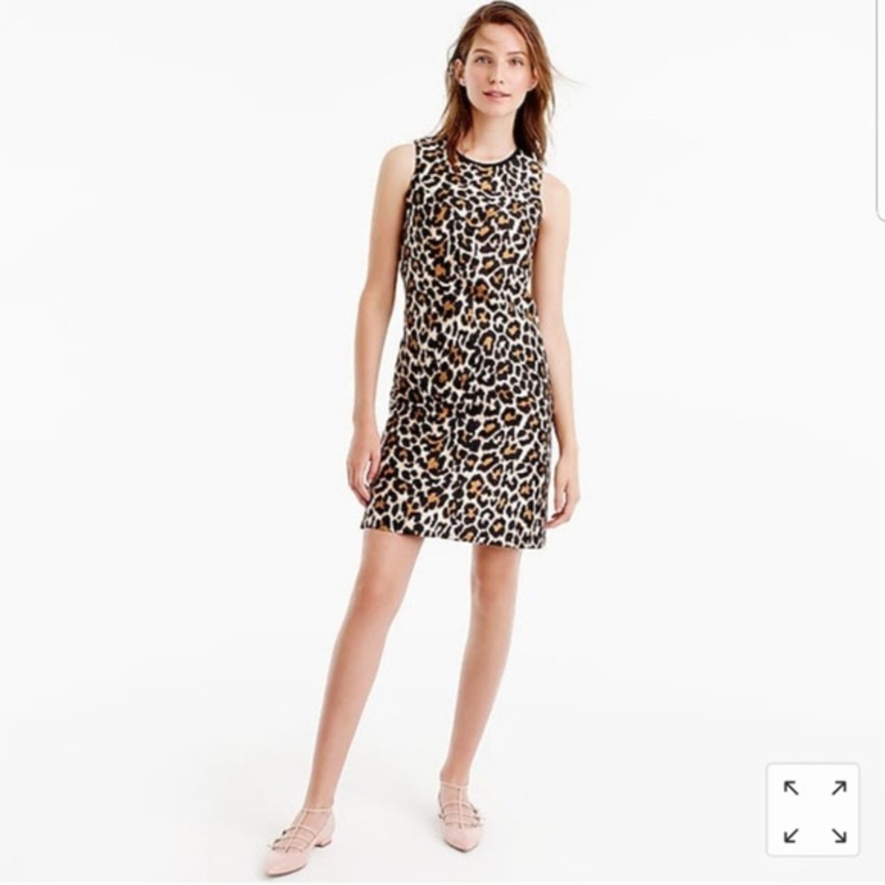 J.Crew Leopard Print A-Line Shift Dress